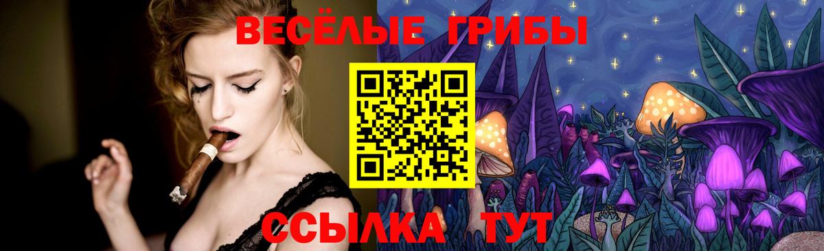 Галлюциногенные грибы MAGIC MUSHROOMS  Вход с VPN  цена   Джанкой 